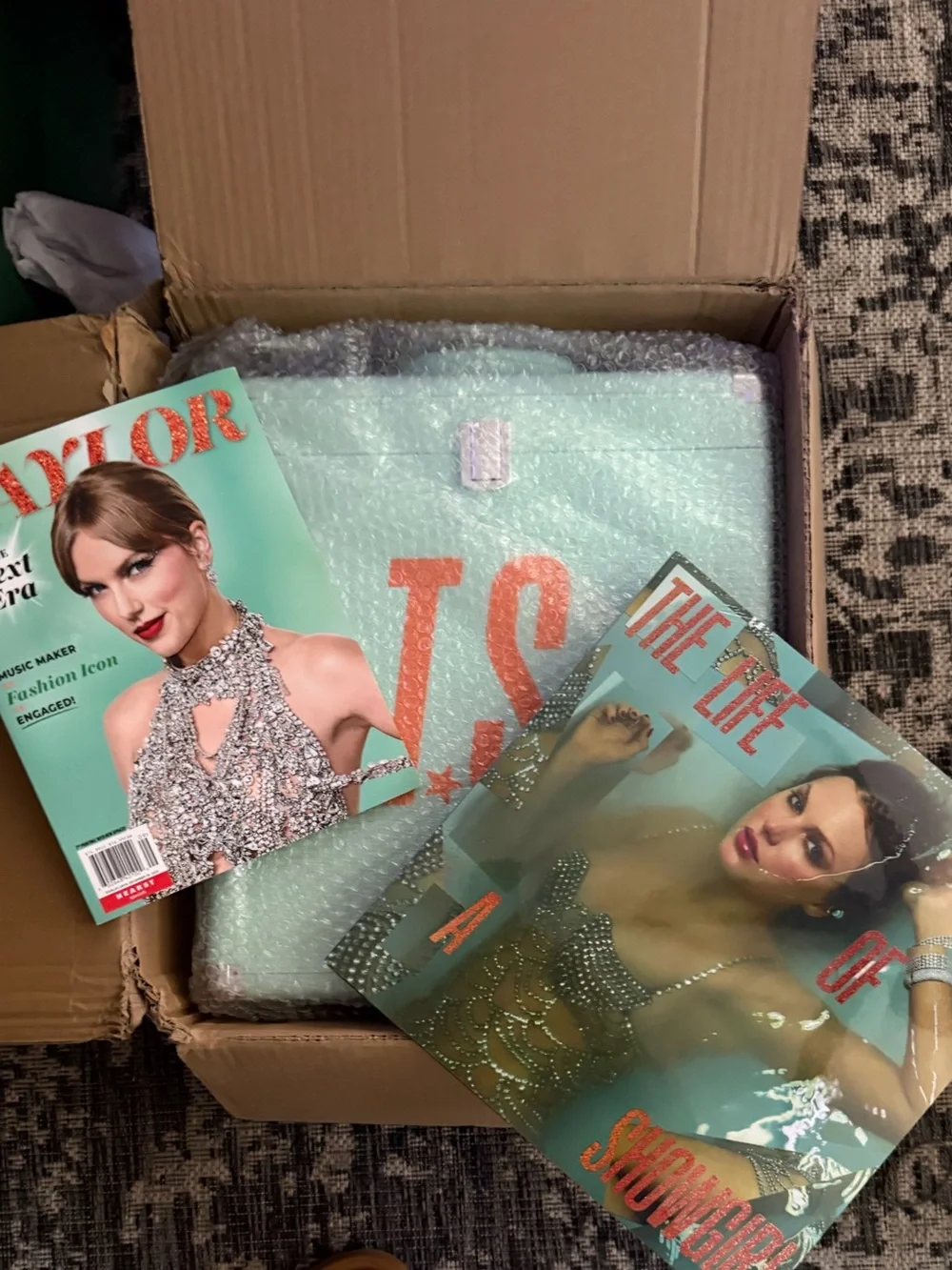 Taylor Swift TS Mint Green Vinyl Record Case with Orange Monogram New